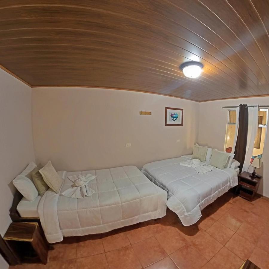 Casa Jungle Monteverde B&B Ngoại thất bức ảnh