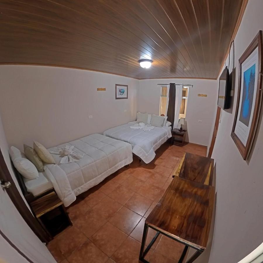 Casa Jungle Monteverde B&B Ngoại thất bức ảnh