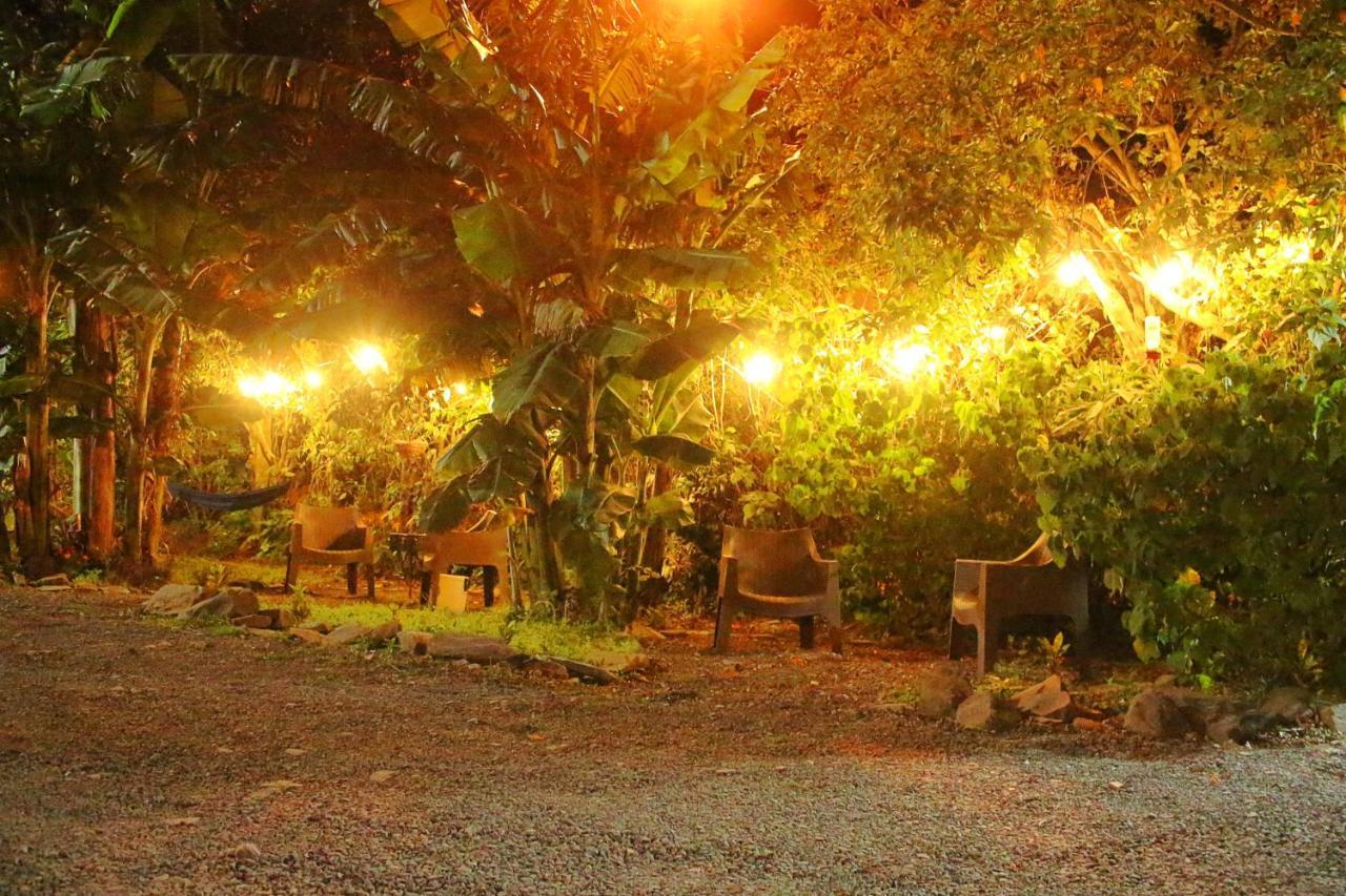 Casa Jungle Monteverde B&B Ngoại thất bức ảnh