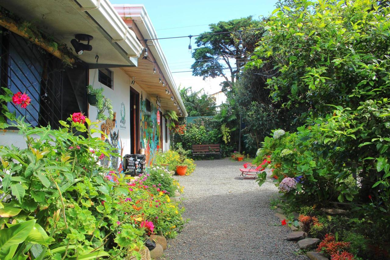 Casa Jungle Monteverde B&B Ngoại thất bức ảnh