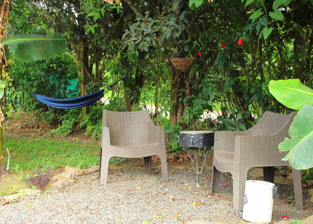 Casa Jungle Monteverde B&B Ngoại thất bức ảnh