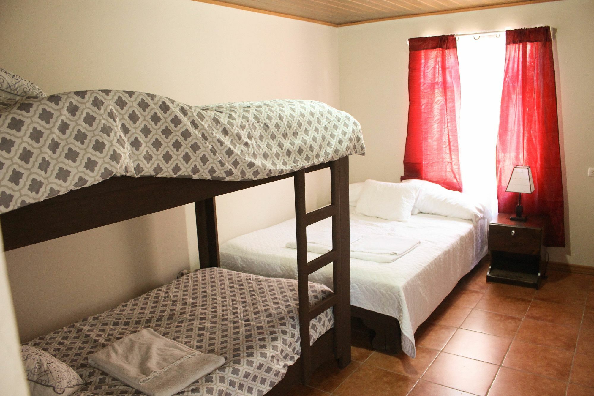 Casa Jungle Monteverde B&B Ngoại thất bức ảnh